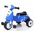 Детская синяя каталка Smart Trike, звуковые эффекты  - миниатюра №2